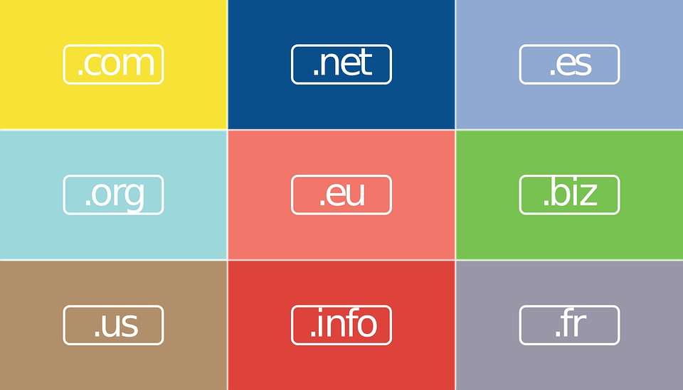 domain name