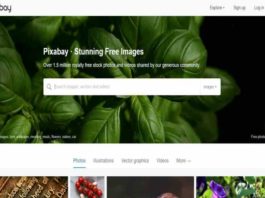 70+ Best Free Stock Photo Websites for Royalty Free Images free stock photo websites