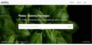 70+ Best Free Stock Photo Websites for Royalty Free Images free stock photo websites
