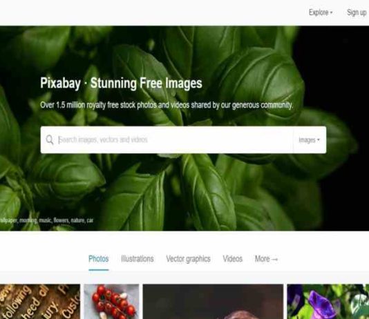 70+ Best Free Stock Photo Websites for Royalty Free Images free stock photo websites
