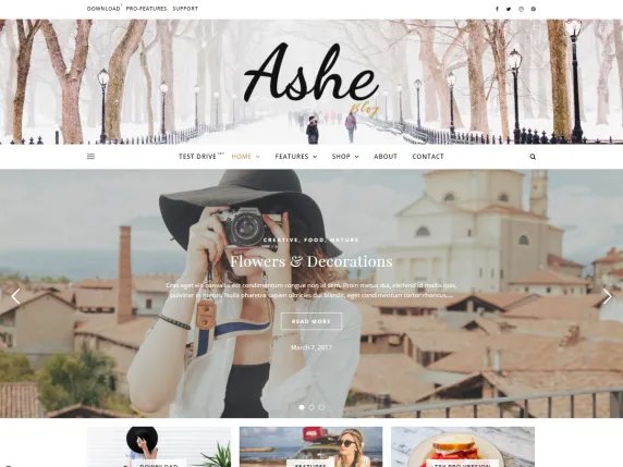 Ashe WP Theme