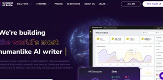 Contentatscale AI Content Detector Review